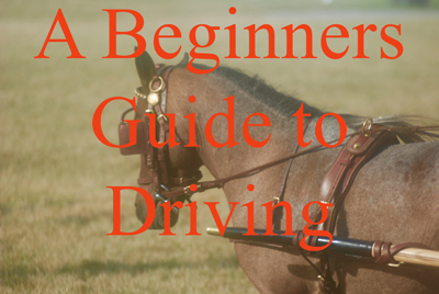 A Beginners Guide to Driving