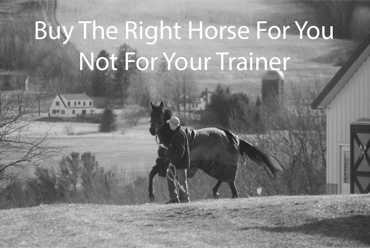 Buy The Right Horse For You Not For Your Trainer 
